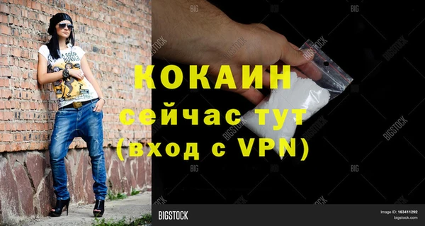 сатива Армянск