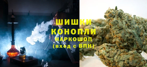 сатива Армянск