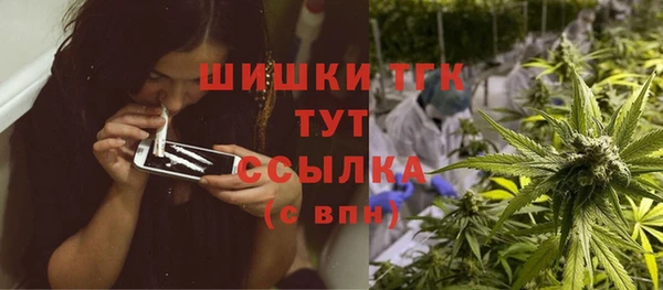 меф Арсеньев